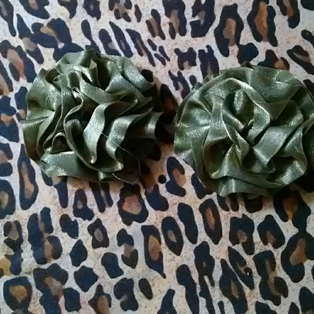 Shoe clips.